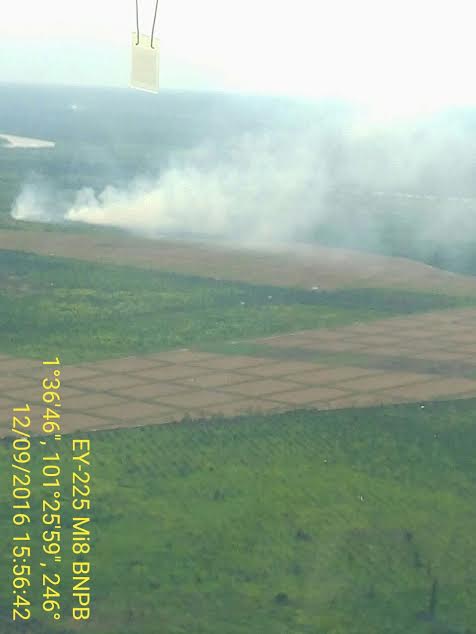 Riau Masih Terbakar, Hari Ini Ada 4 Lokasi Kebakaran Hutan dan Lahan