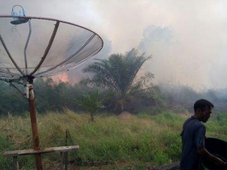 Kebakaran Lahan di Pujud, Rohil, Nyaris Mengenai Pemukiman Masyarakat