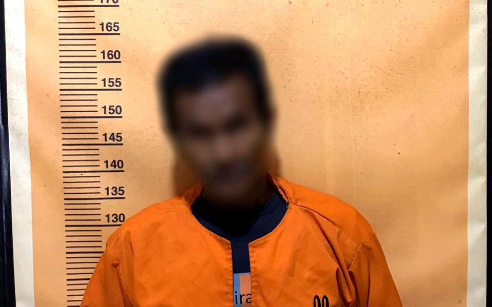 Pelaku Pembakar Lahan di Keritang Ditangkap