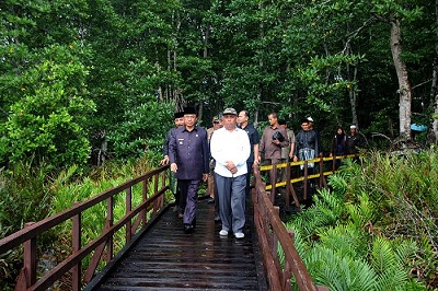 HM.Wardan Akan Kembangkan Hutan Mangrove di Palau Cawan