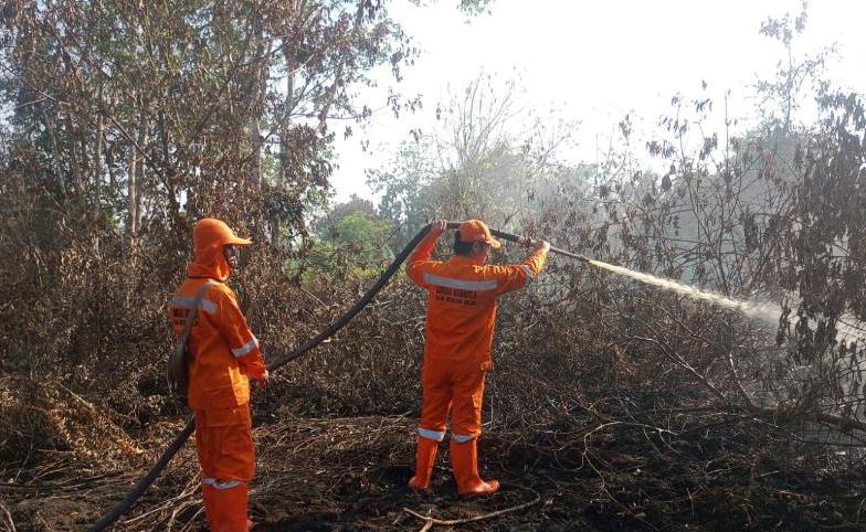 Satgas BPBD Rohil dan Tim Gabungan Berjibaku Padamkan Api