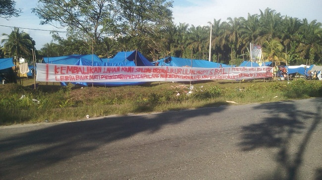 Warga Desa Koto Aman : Pak Jokowi Tolong Bantu Kami di Koto Aman Kampar
