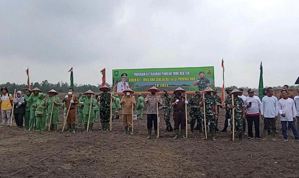 Gubri Apresiasi Program Ketahanan Pangan 1000 Hektar Korem 031/WB dan Distan se Riau
