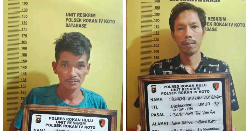 Polsek Rokan IV Koto Amankan Dua Maling Buah Sawit