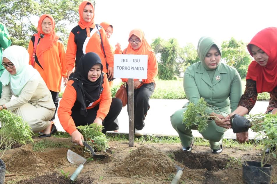PKK Inhil Gelar Gerakan Perempuan Tanam dan Pelihara Pohon 2016