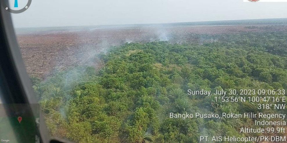 Eks Konsesi PT SRL di Bangko Rohil Terbakar Sudah 6 Hari Operasi Pemadaman