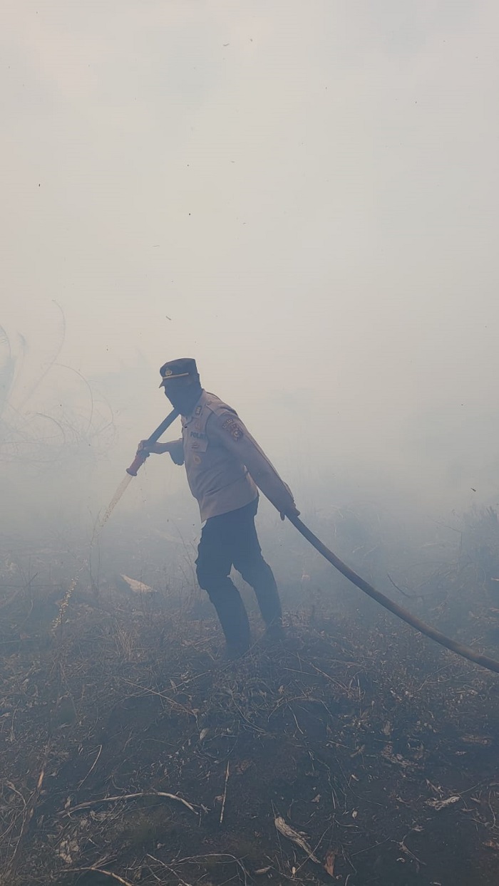 Konsesi PT Permata Hijau Indonesia Terbakar 10 Hektar, Kapolres Pelalawan Tegaskan Akan Lakukan Penyelidikan