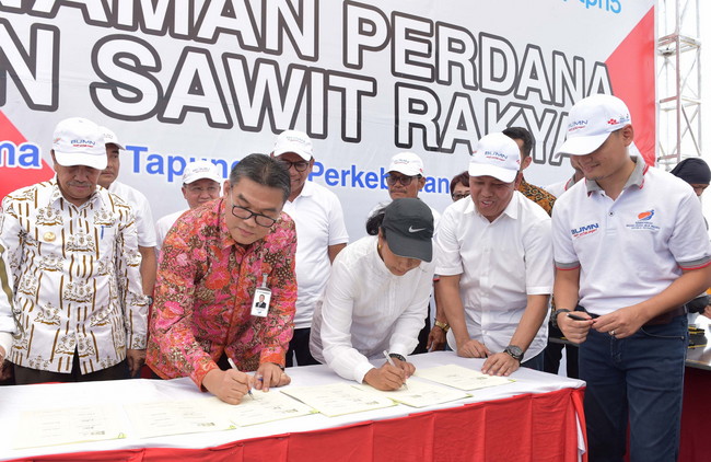 Bank Riau Kepri- Menteri BUMN Teken MoU Program Replanting Kebun Sawit Rakyat