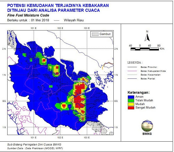 Cuaca Ekstrim, 5 Titik Panas Tersebar di Provinsi Riau