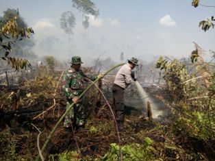 Karhutla di Sungai Apit, Petugas Bergerak Cepat Lakukan Pemadaman