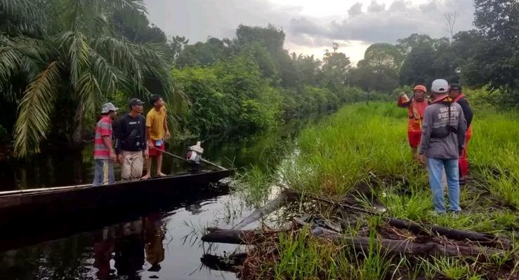 Pencarian Korban Sambaran Buaya Ganas di Kanal