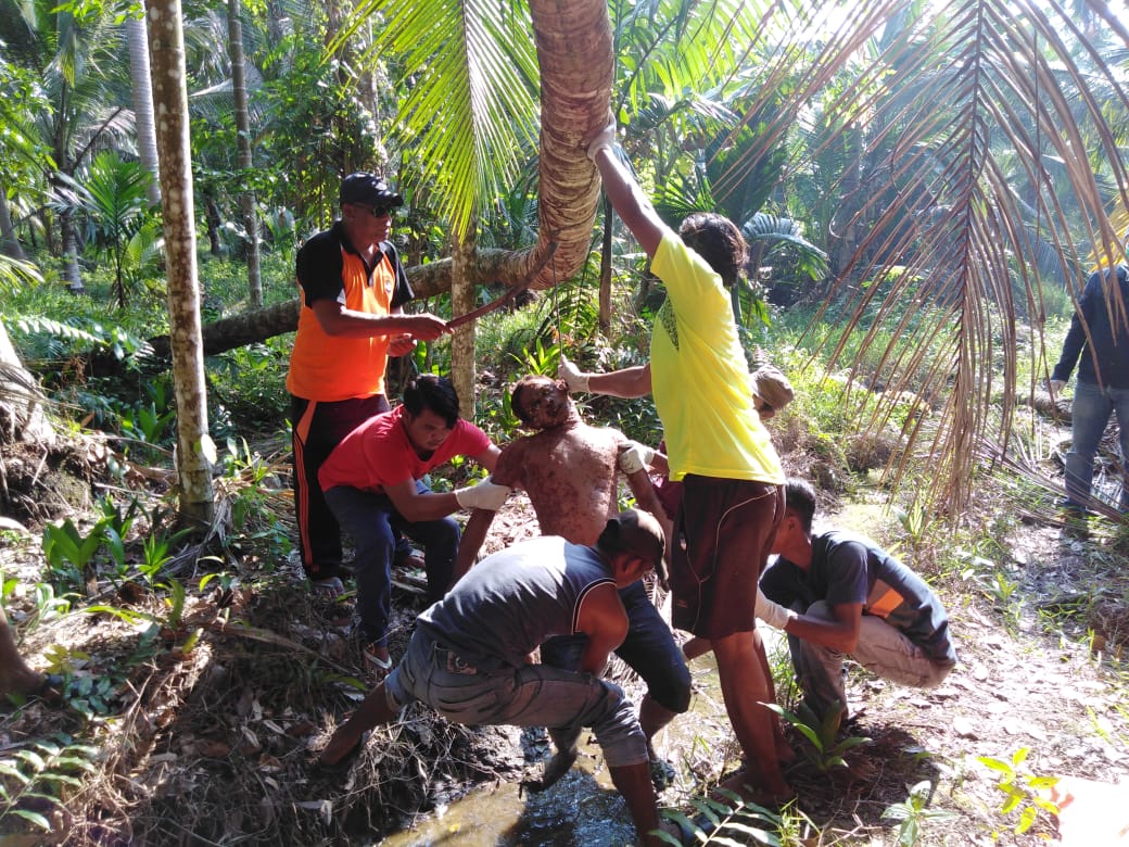 Seorang Pemuda Ditemukan Tewas Tergantung di Pohon Kelapa