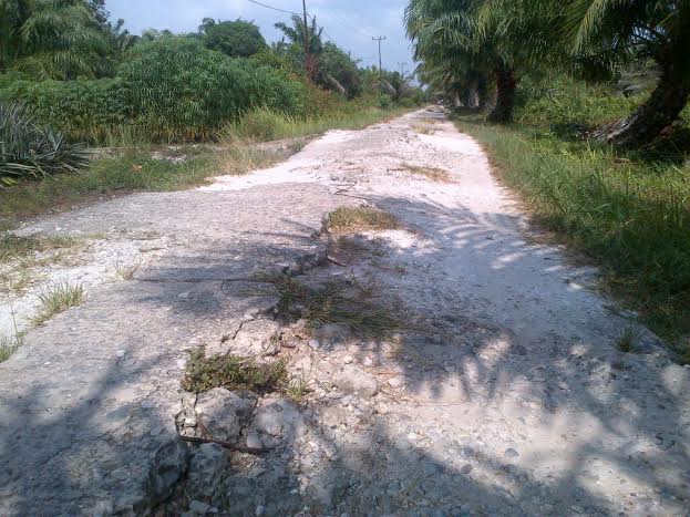 Jalan Utama Menuju Kantor Desa Pakning Asal Baru Memprihatinkan