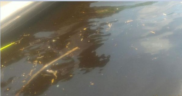 Terkait Ikan Keracunan di Sungai Kampar, Warga Sering Dibohongi PT. RAPP Dan Instansi Terkait