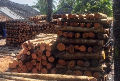Aktivitas Industri Dapur Arang di Pulau Cawan Ancam Ekositem Pesisir