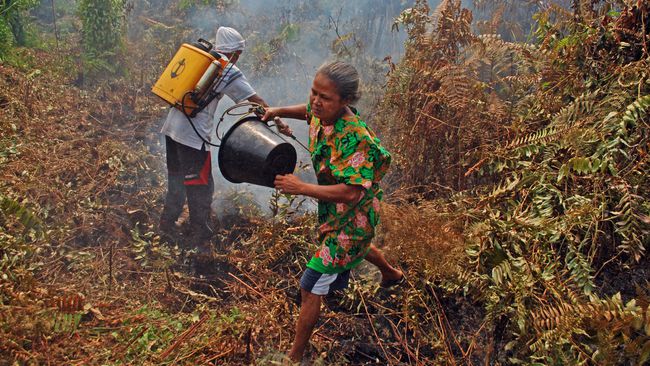 Termasuk Riau, 6 Propinsi Nyatakan Status Siaga Darurat Kebakaran Hutan dan Lahan