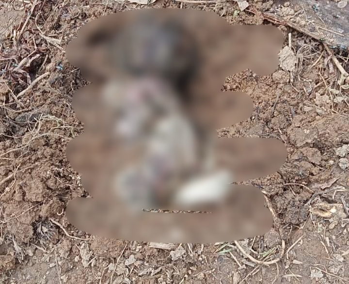 Diduga Siswi SMP di Kuansing Kubur Mayat Bayi