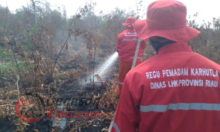 Di Tengah Kepanikan Covid-19, DLHK Riau Terus Berjibaku Atasi Karhutla