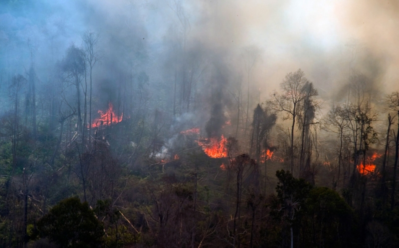 Kontras: SP3 15 Perusahaan Pembakar Lahan di Riau Janggal