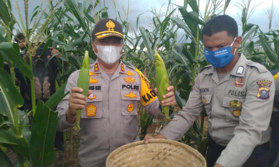 Polda Riau Gandeng Persatuan Pedagang Jagung Bakar Pekanbaru