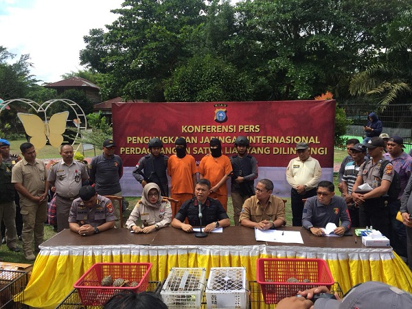 Polda Riau Bekuk Dua Pelaku Sindikat Penjualan Satwa Liar Jaringan Internasional