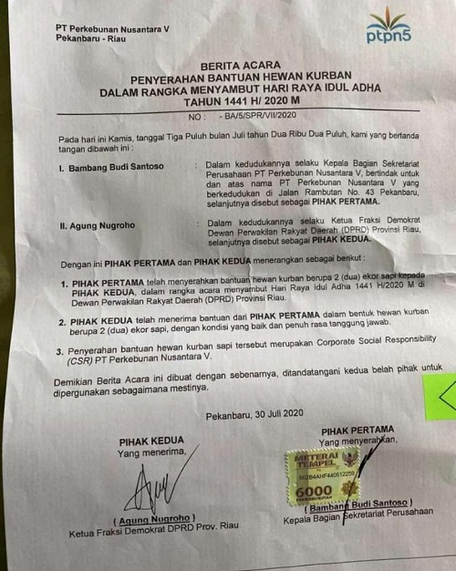 Sapi Kurban CSR PTPN V untuk DPRD Riau Yang Raib, Ternyata Agung Nugroho Tanda Tangani Berita Acara Serah Terima