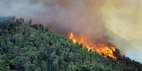 Pak Presiden, Riau Terjadi Karhutla Lagi Ada 18 Titik Panas Rabu Sore ini