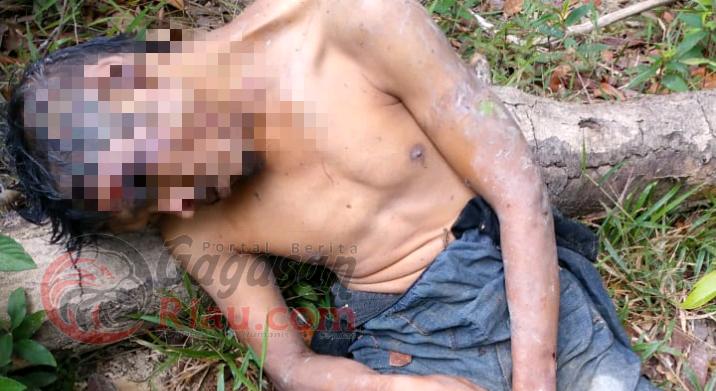Mayat Telanjang Dada Ditemukan di Tepi Sungai Tenayan Pekanbaru