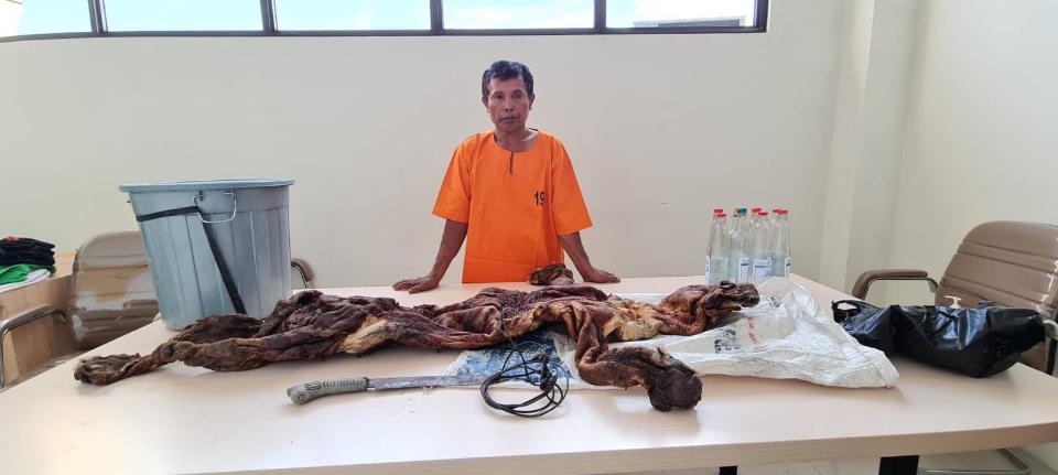 Polda Riau Bekuk Pelaku Perdagangan Kulit Harimau