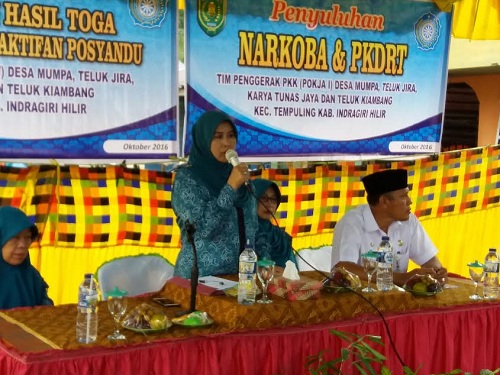 Ketua PKK Inhil Hj Zulaikha Terjun Lakukan Pembinaan di 5 Tingkat Desa se Kecamatan Tempuling