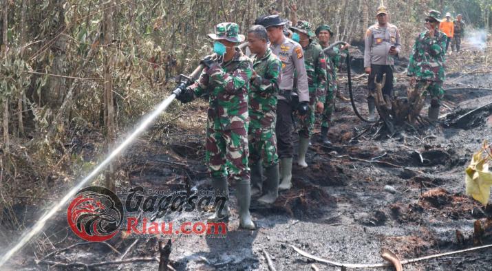 Kebun Kelapa dan Lahan Kosong Seluas 4 Hektare Terbakar di Kecamatan Batang Tuaka