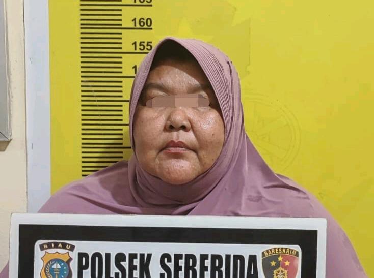 Tipu Ratusan Juta Jadi PNS, Polres Inhu Ringkus Wanita Asal Aceh
