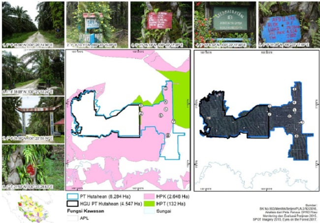 Kebun Sawit PT Hutahaean, Investigasi EoF Diduga Garap Kawasan Hutan Tanpa Izin