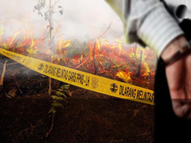 Di Bengkalis Lahan PT SPA Terbakar 200 Hektar