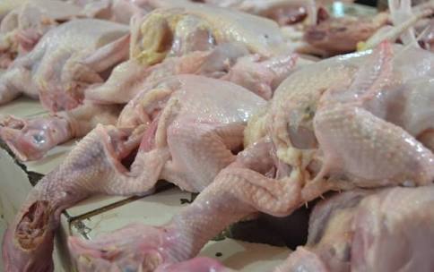 Daging Ayam di Inhil Sumbang Deflasi 0.75 Persen