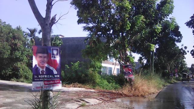 Satpol PP Pekanbaru Segera Copoti Spanduk Balon Wako Dipaku di Pohon