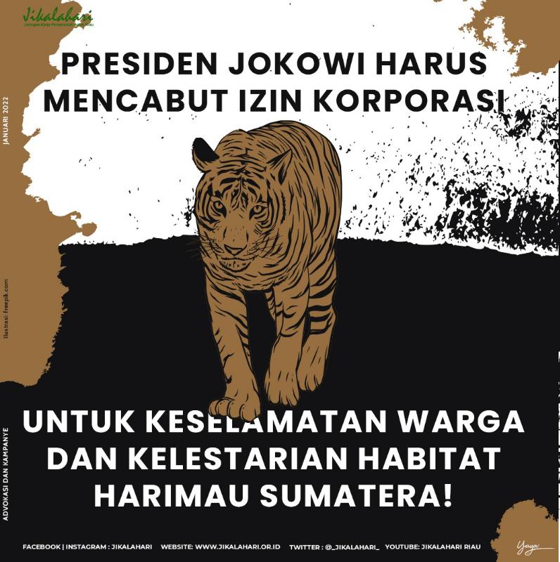 Harimau 'Mengamuk' di Inhil, Jikalahari Desak Jokowi Cabut Izin Korporasi