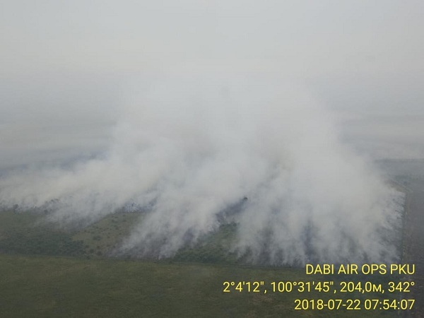 Karhutla di Riau Januari-Juli 2425 Hektar Lebih, Terluas di Kabupaten Siak