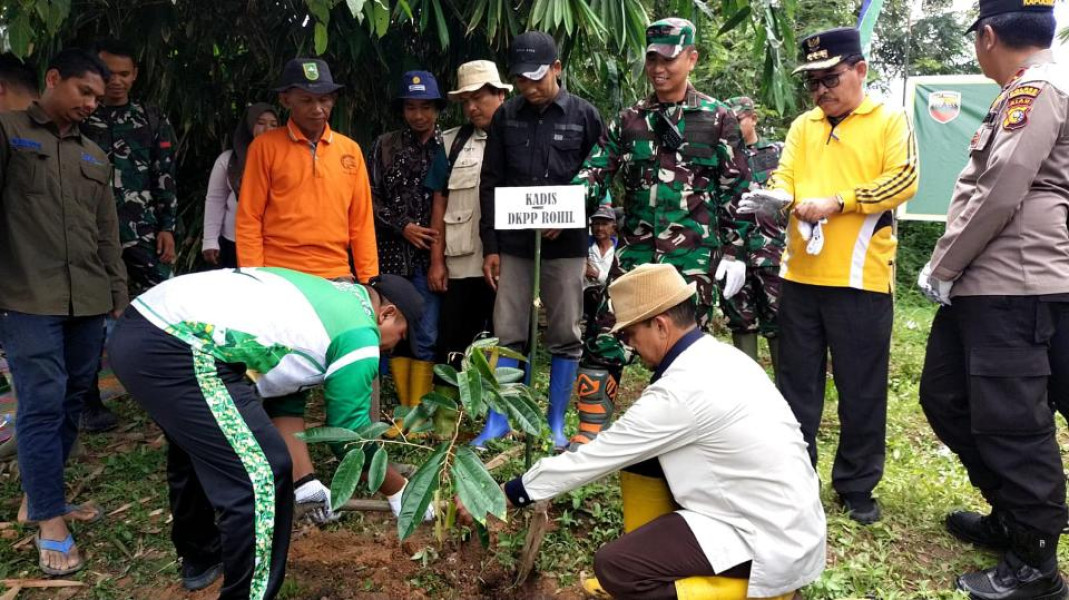 Kelompok Tani Bangun Jaya Tanam 800 Pohon Durian