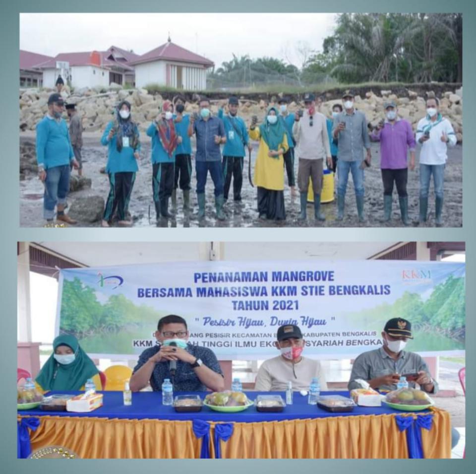 Bersama Mahasiswa STIE Syari'ah Bengkalis, Sofyan Tanam Mangrove