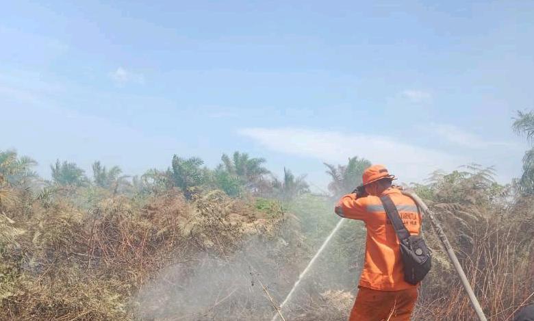 45 Personil Satgas BPBD Padamkan Api di Tiga Lokasi