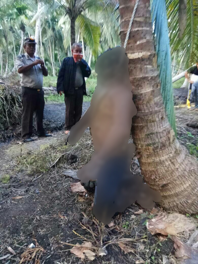 Mayat Laki-laki Tergantung di Pohon Kelapa Membawa Uang Jutaan Rupiah