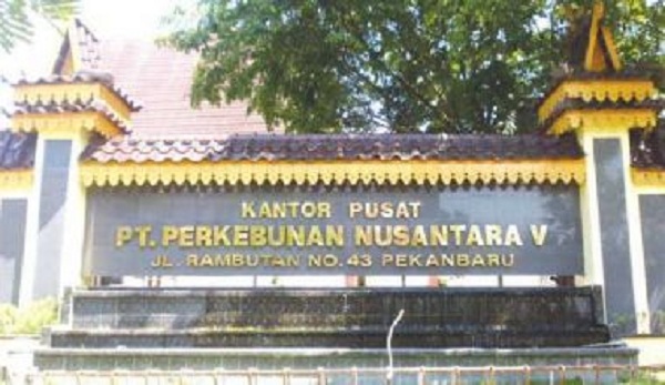 Ditreskrimsus Polda Riau Temukan Izin Bermasalah PTPN V Bersama 3 Koorporasi Lainnya