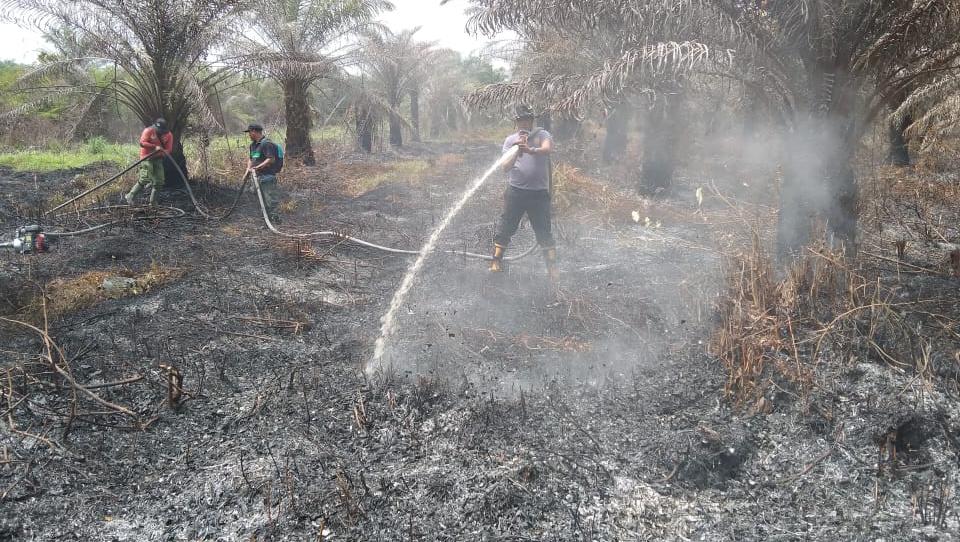 Temukan Kebakaran Lahan, Bhabinkamtibmas dan MPA Karya Indah Lakukan Pemadaman