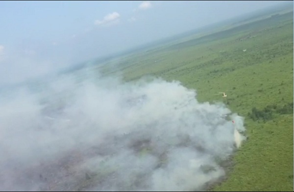 Karhutla di Riau Masih Terjadi, 2.462,16 Hektar Habis Dilalap Api