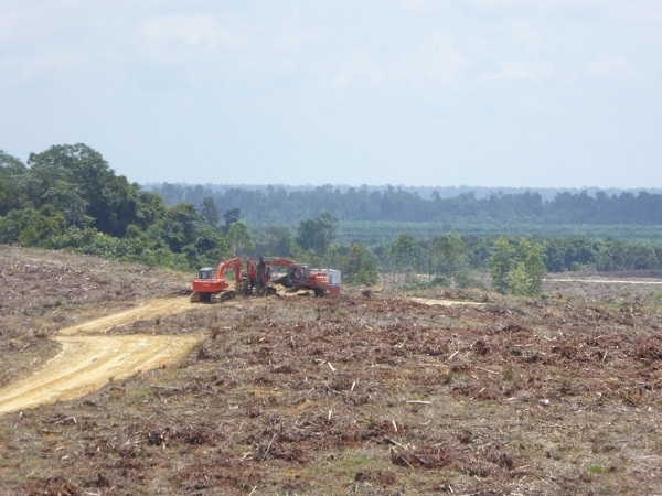 Grup APRIL & APP Mengubah Fungsi Hutan Jadi Lahan HTI Dengan SK Menhut 673 Tahun 2014
