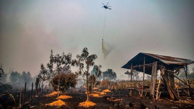1 Unit Helly Dikerahkan ke Lokasi Kebakaran Hutan Rantau Berangin