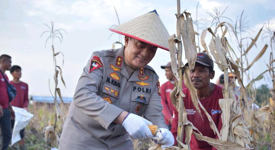 Irjen Iqbal Panen Tanaman Hortikultura di Lahan Polda Riau