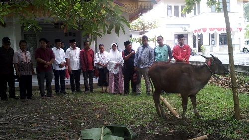 DPD PDI Perjuangan Riau Beri Bantuan Hewan Kurban Ke Forum RT RW Sidomulyo Timur