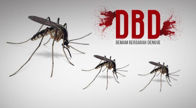 Kinerja Buruk, Sebanyak 2.260 Orang di Riau Terjangkit DBD